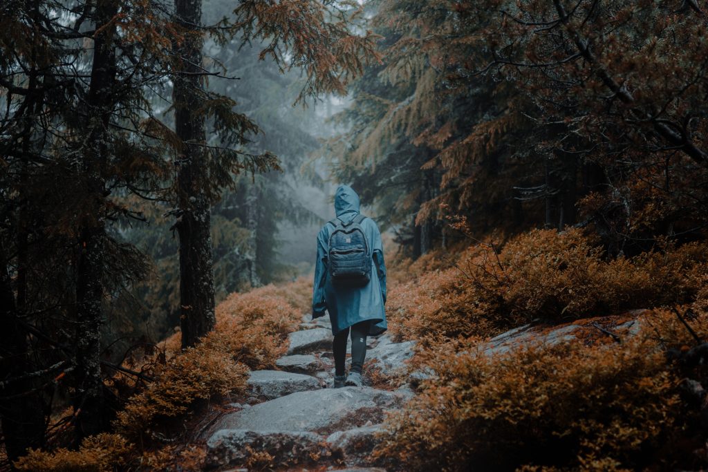 Pogoda na majówkę 2022: gdzie najcieplej? gantas vaiciulenas Re zztQZ Ks unsplash 1024x683 - Pogoda na majówkę 2022: gdzie najcieplej?