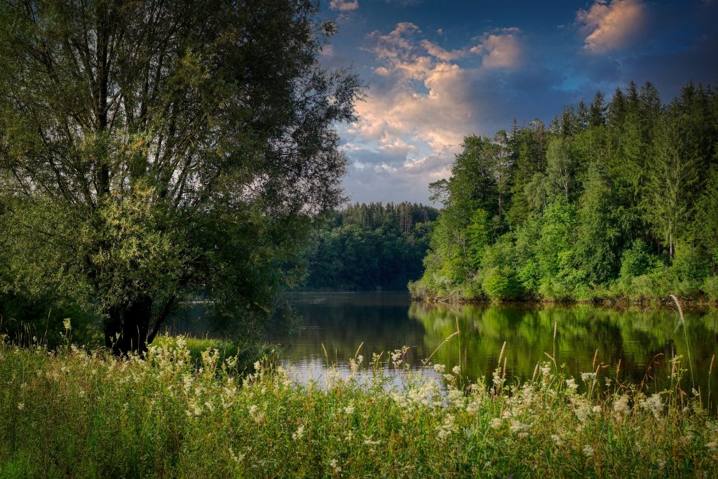 lake 5455703 1920 1024x683 - Z czego słyną Tarnowskie Góry? Podpowiadamy, co można zwiedzić na Górnym Śląsku