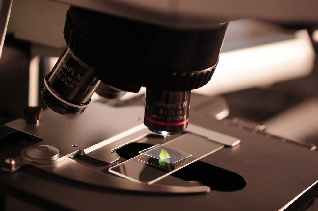 Co można zobaczyć w Centrum Nauki Kopernik w Warszawie? microscope 385364 1280 1024x679 - Co można zobaczyć w Centrum Nauki Kopernik w Warszawie?