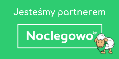 Partner serwisu Noclegowo - czemu warto nim zostać? owca1 1 - Partner serwisu Noclegowo - czemu warto nim zostać?
