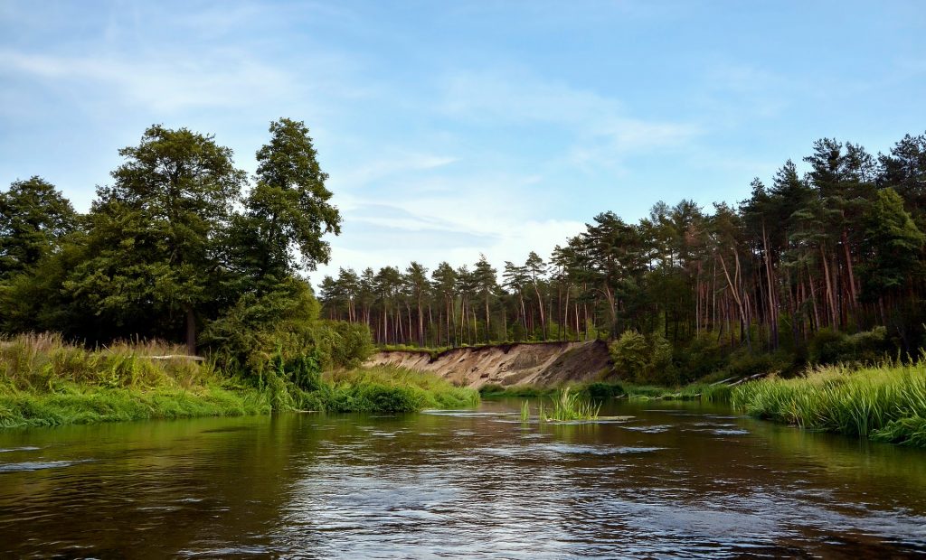 river 4444413 1920 1024x620 - Zalew Sulejowski - co warto zobaczyć w okolicy?