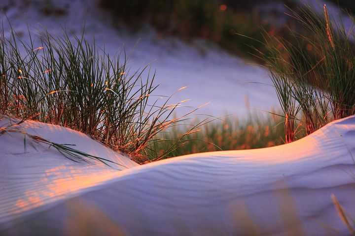 slowinski national park 862262  480 - Na co wykorzystać bon turystyczny? Podpowiadamy, co zwiedzać na Pomorzu z dzieckiem