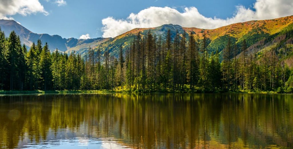 smerczynski 1 1024x520 - Tatry Zachodnie - 5 miejsc bez tłumów w Tatrach