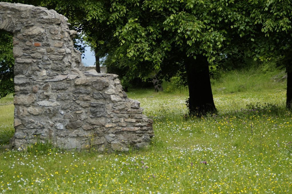 summer 788457 1920 1024x682 - Świerklaniec - co zobaczyć? Górny Śląsk na weekend