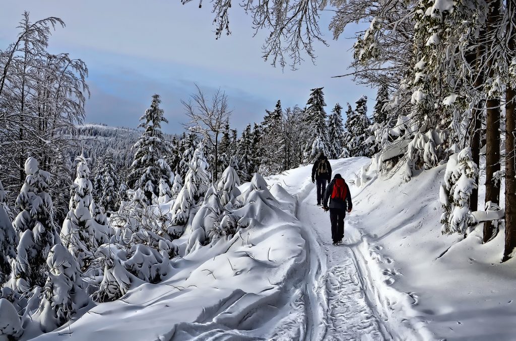 winter 4952833 1920 1024x678 - Ferie zimowe 2024 - gdzie wyjechać i jak spędzić ten czas?