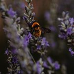 xuan nguyen g6xmTnzy6Us unsplash 150x150 - Trendy w turystyce na 2023 rok