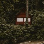 yj 150x150 - Gdański Jarmark Św. Dominika, 26.07.2014 – 17.08.2014