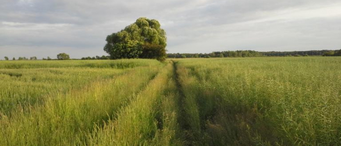 zielony 1 - 10 wyjątkowo zielonych tras na wiosnę. Ranking top10 najlepszych tras