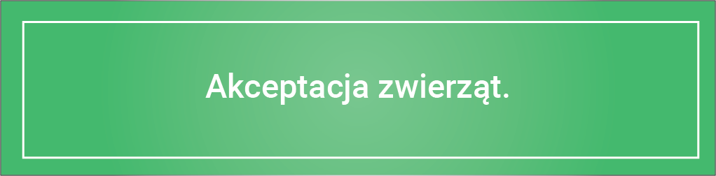 Jakie są noclegowe trendy 2022? zwierzet - Jakie są noclegowe trendy 2022?