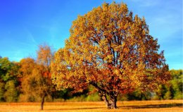 What to do in autumn in Poland? - top3 inspirations for an autumn trip