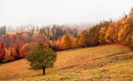 Where to go for an autumn vacation?